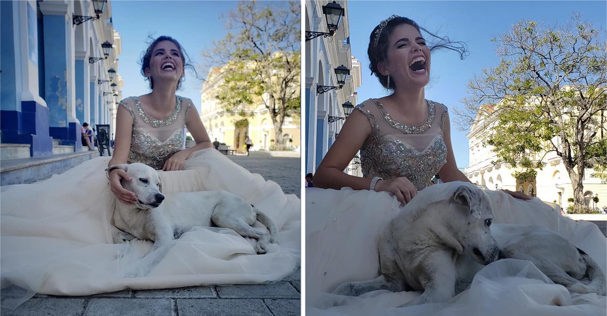 Elle posait pour ses quinze ans et un adorable chien a voulu prendre